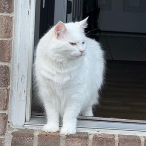 Meet your Posher, Emma